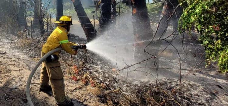 Bomberos exhortaron a prevenir incendios 