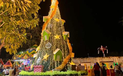 Inolvidable en el Encendido del Árbol de Navidad en Matlapa