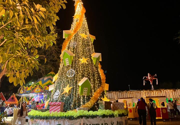 Inolvidable en el Encendido del Árbol de Navidad en Matlapa