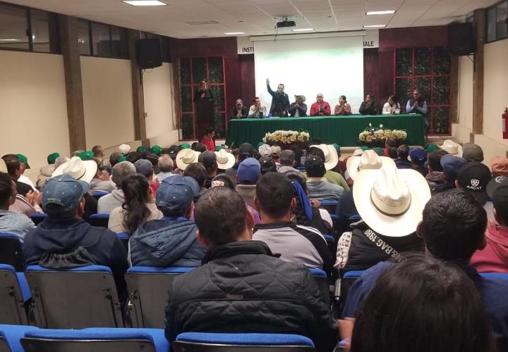 Debaten problemática del HLB de cítricos en Tamazunchale