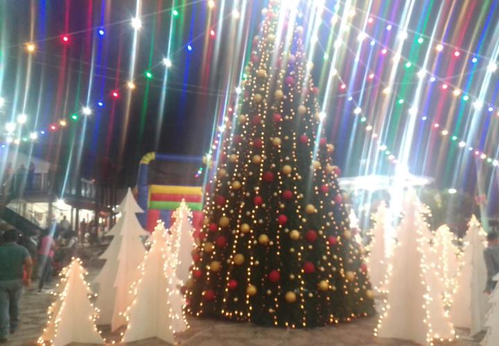 Éxito total en el encendido del árbol navideño