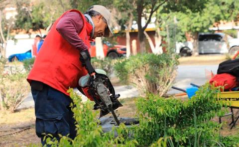 Asearon Jardín San Luis 400
