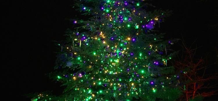 Invitan a encendido del árbol navideño