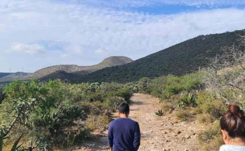 Reforestación de sierra de Álvarez en primera etapa