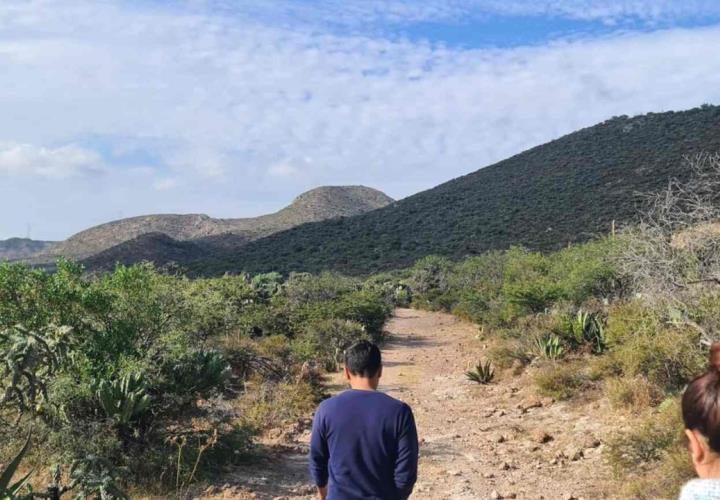 Reforestación de sierra de Álvarez en primera etapa