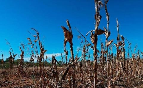 Inversiones clave para el sector rural
