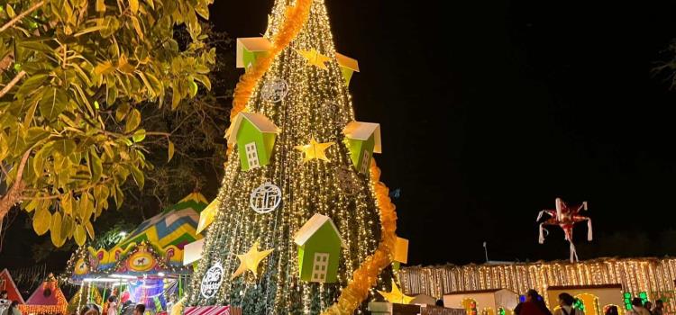 Realizan encendido  del árbol navideño