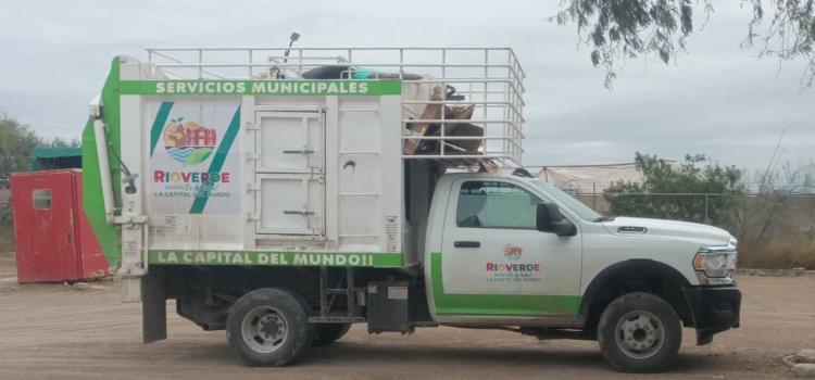 Harán sondeo para instalar parquímetros 