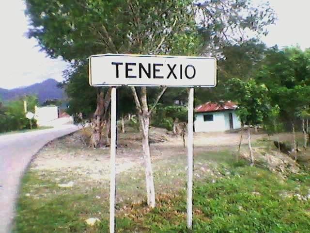 Tenexio festejo su aniversario 