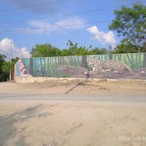 Urge rescate de murales urbanos
