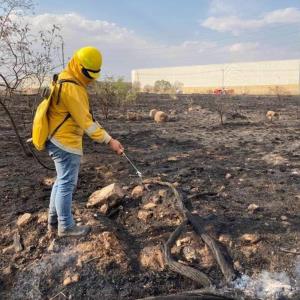 Incremento histórico de incendios en 2024
