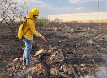 Incremento histórico de incendios en 2024