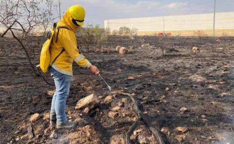 Incremento histórico de incendios en 2024
