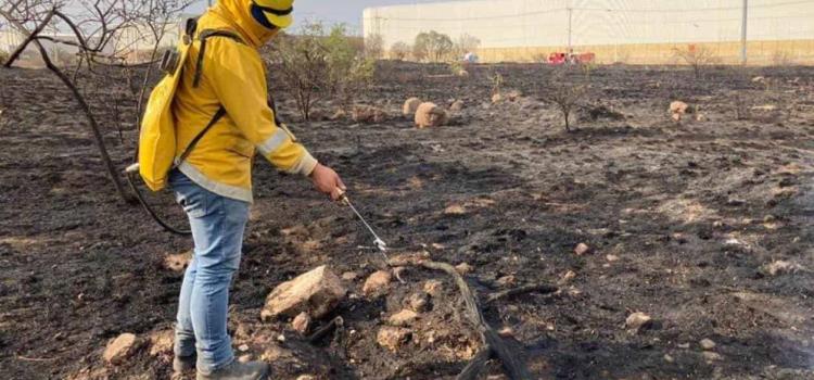 Incremento histórico de incendios en 2024