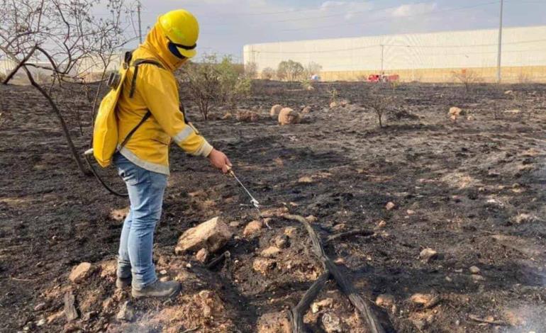 Incremento histórico de incendios en 2024