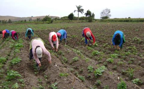 Más apoyo al campo
