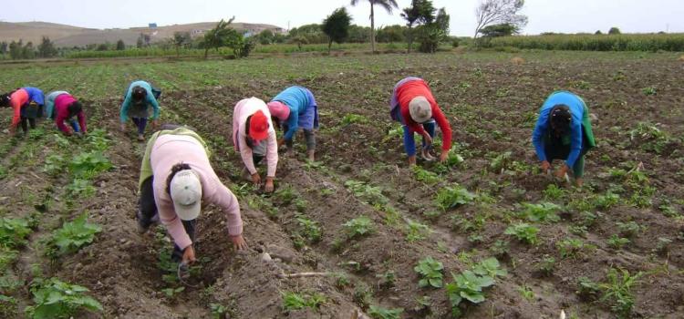 Más apoyo al campo