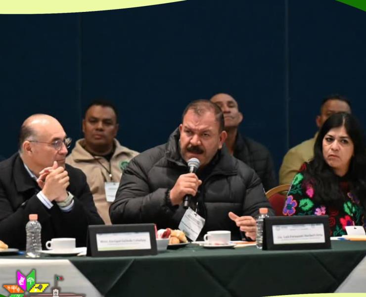 Luis Fernando participio en reunión estatal de seguridad