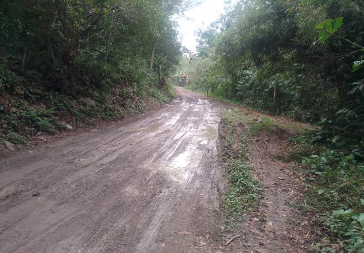 Carreteras en mal estado dificultan el tránsito vehicular