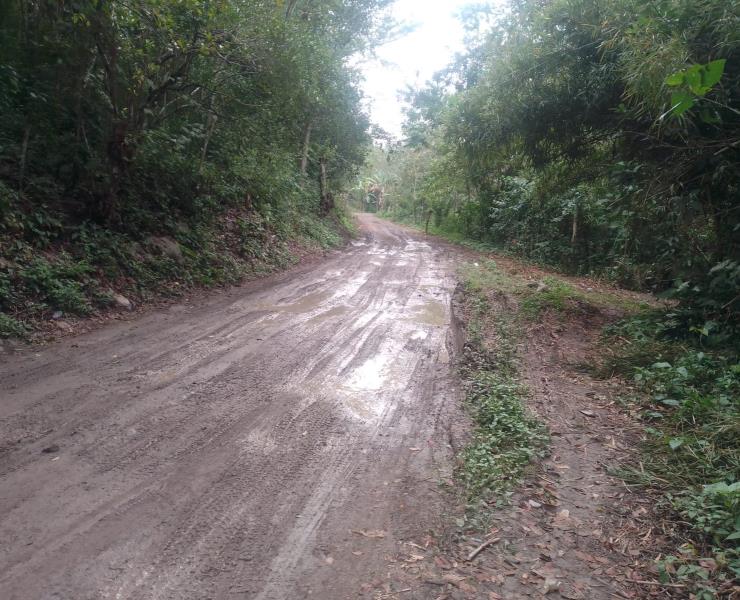 Carreteras en mal estado dificultan el tránsito vehicular