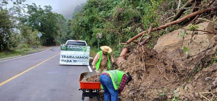 Rehabilitan caminos afectados por lluvias