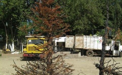 Basura navideña atasca la ciudad 
