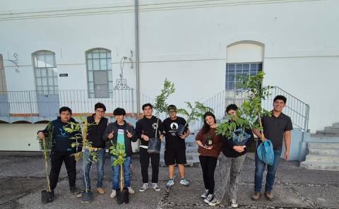 Asociación fomentó reforestación en ZM
