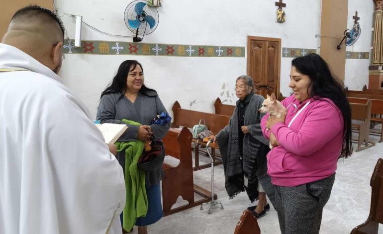 Realizaron bendición de los animales 