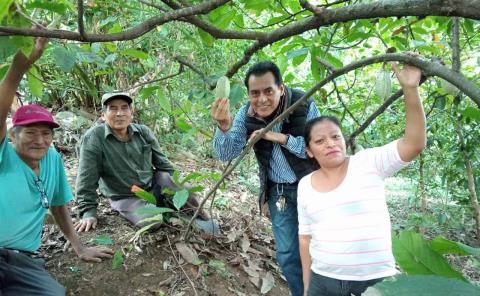 Analiza Desarrollo Rural producción de cacao
