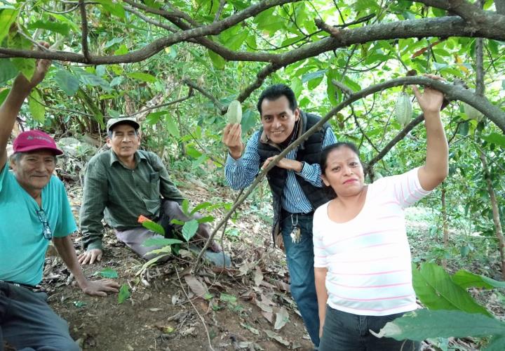 Analiza Desarrollo Rural producción de cacao