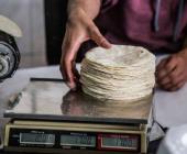 Bajará precio de la tortilla     